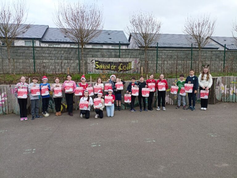 Gaelscoil Chalagh an Treoigh named as runners up in storytelling competition
