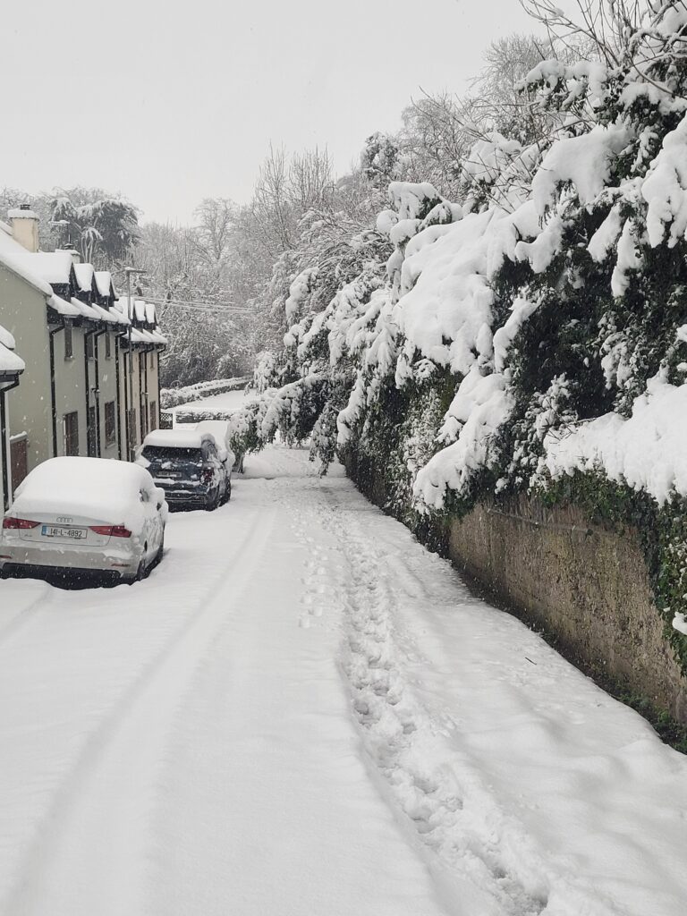 Rail services resume amid widespread disruption across Limerick following cold weather snap