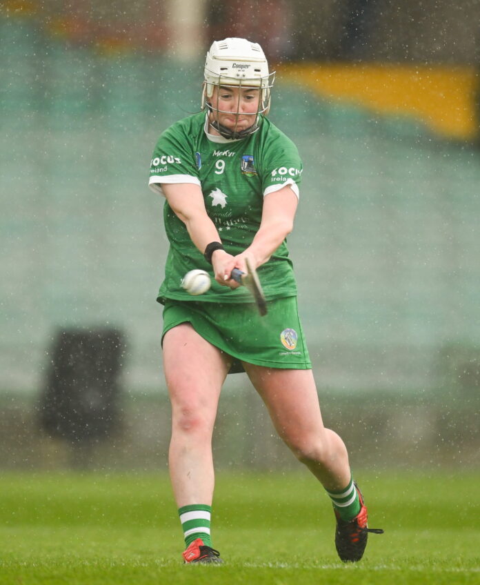 Limerick v Waterford - Munster Senior Camogie Championship Quarter-Final