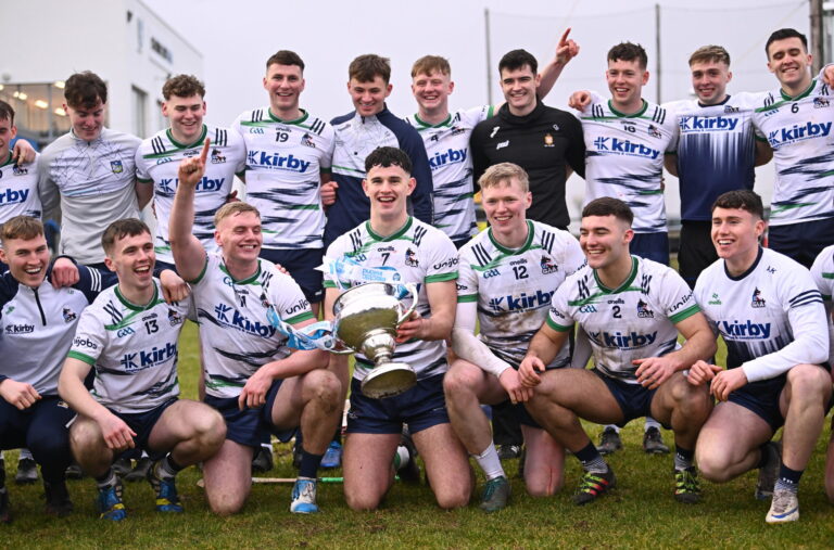 UL reign supreme in Fitzgibbon Cup