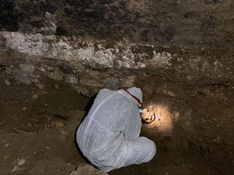 MIC academic believed to have found remains of Limerick war hero in Belgium