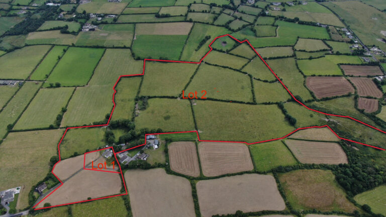 GL Auctioneers offer an agricultural holding of over 65 acres to the open market for sale