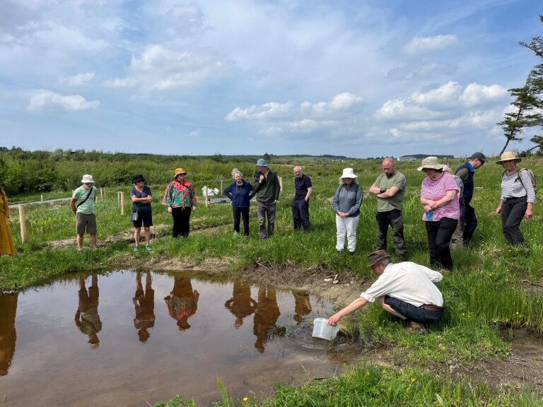 Hare’s Corner to help Limerick landowners embrace nature at home