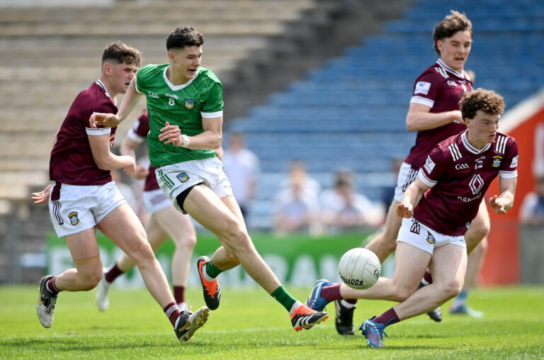 Limerick in hunt for NFL promotion