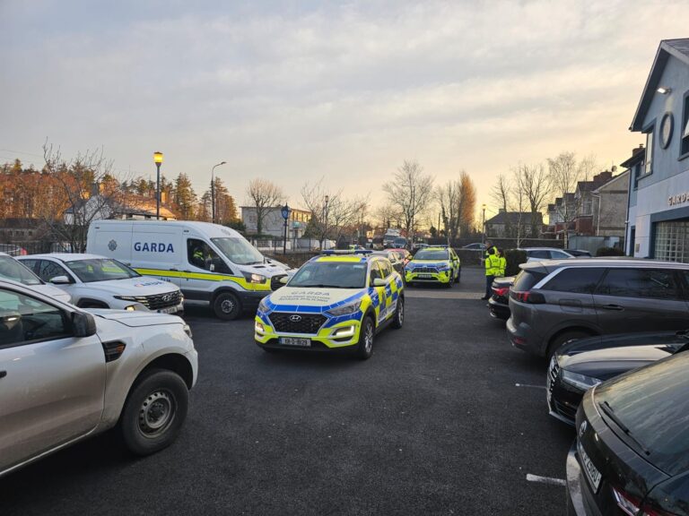 44 arrested in Garda swoop on Limerick town