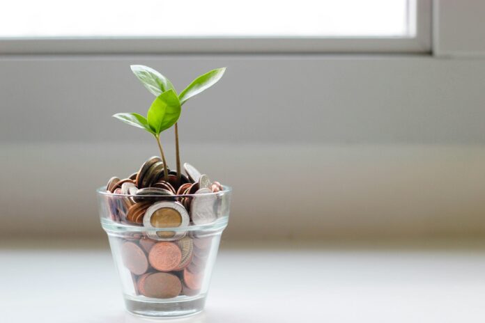 micheile-henderson-SoT4-mZhyhE-unsplash finance money cash