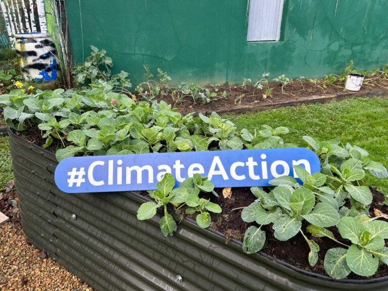 Toys galore and creative performances to form part of Climate Action Week in Limerick