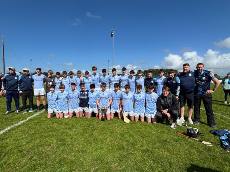 Na Piarsaigh take home Féile title