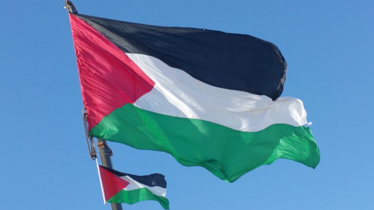 Limerick councillors call for Palestinian flag to be flown from city hall