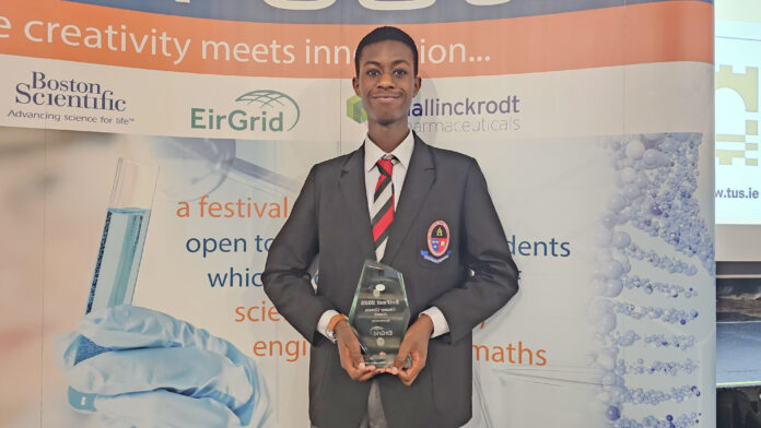 EirGrid Award winner