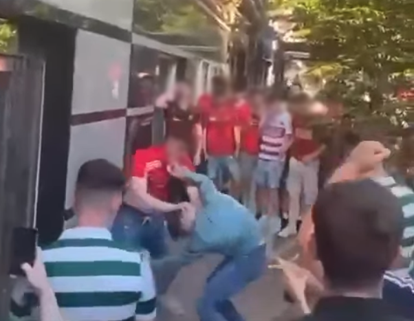 Hurling fight limerick May 2025