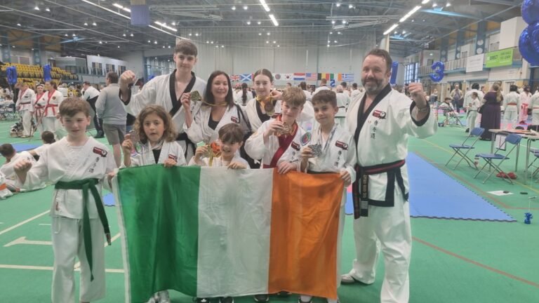 Martial Arts success for Limerick