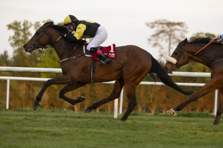 Racing victory for Herbertstown’s Sylvia