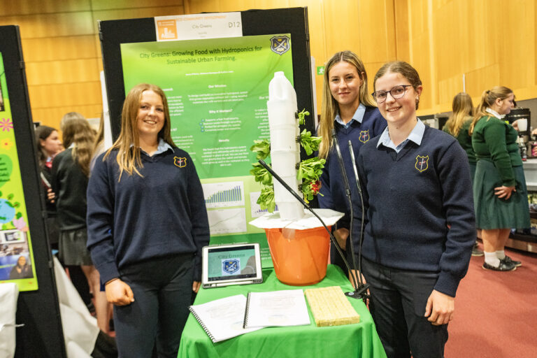 Limerick students recognised for their eco-friendly habits