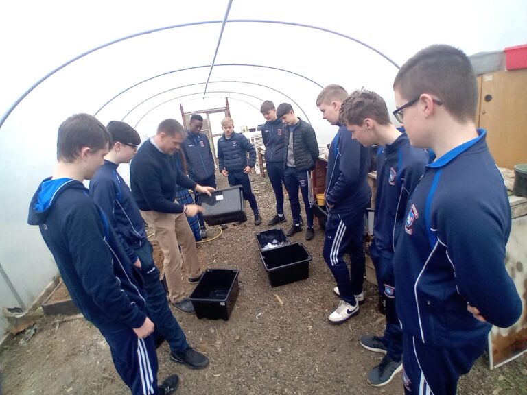 Having worms is nothing but a good thing for Kilmallock students