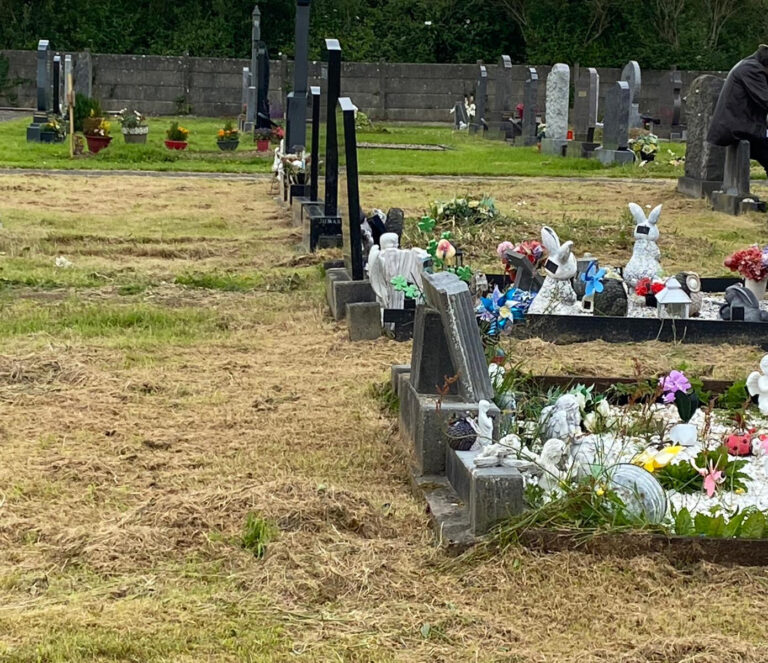 Graves buried under mounds of cut grass in Castleconnell