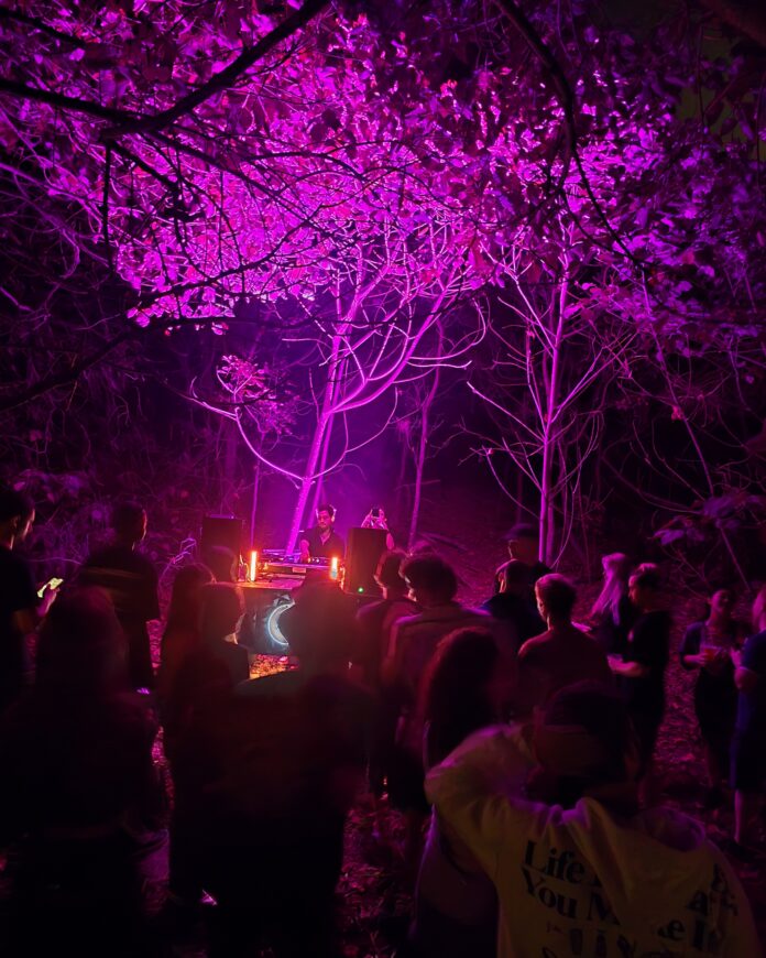 Party in bush 1