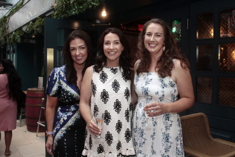 LIMERICK IN PHOTOS: Out and about