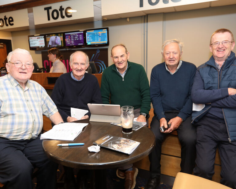 LIMERICK IN PHOTOS: Spectators have Time of their lives at club derby