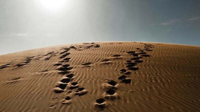 desert footprints mahardhika-kim-mkl09p9sORg-unsplash