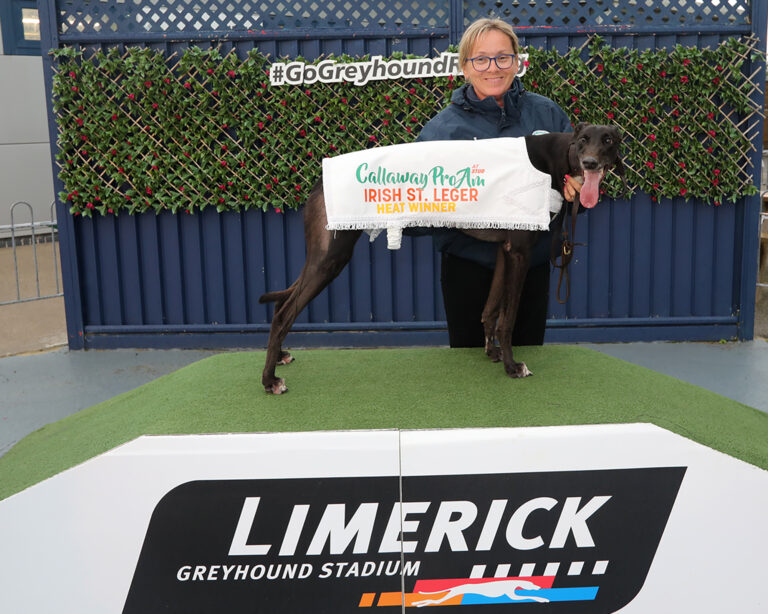 Leger underway at Limerick
