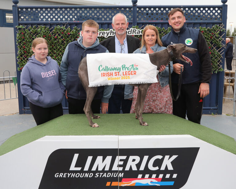 Irish St Leger continues in Limerick