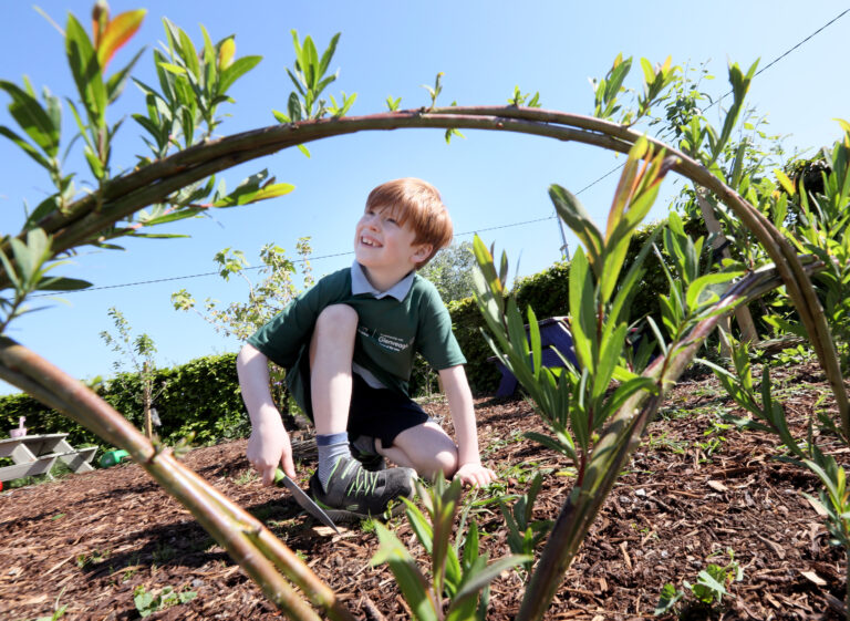 Limerick school crowned ‘nature heroes’