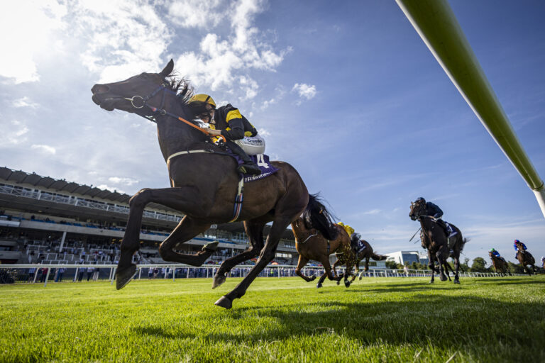 Injury blow for jockey Billy Lee