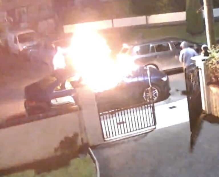 Armed gang caught on camera setting car alight and attacking house