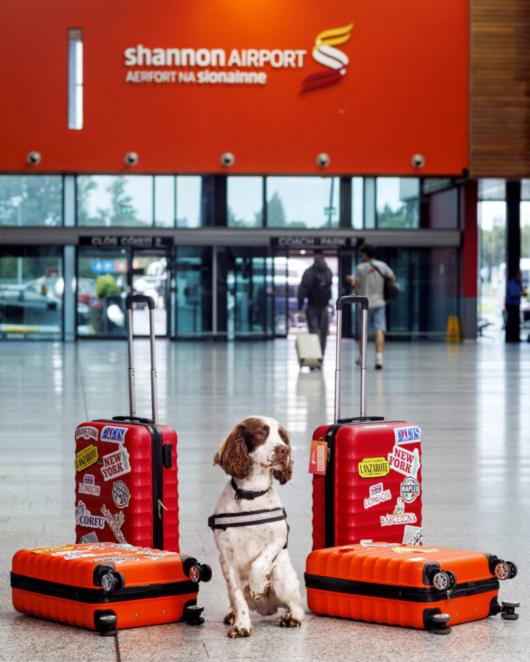 Shannon Airport’s best boy Brody celebrated for his good work