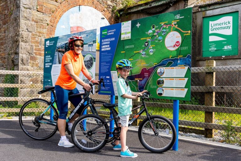 Limerick council shortlisted in Local Government Awards