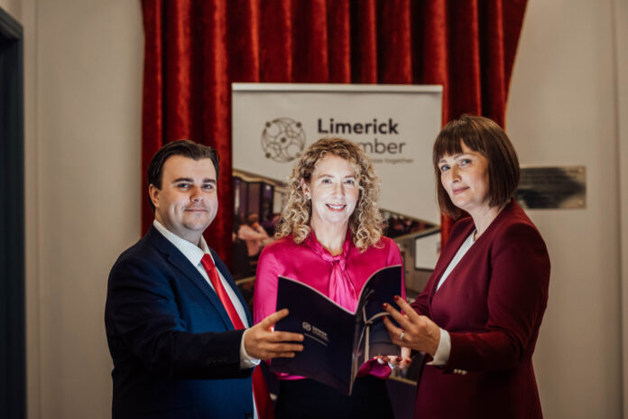 Limk Chamber Pre Budget 015