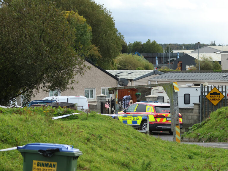 Gardaí investigating shots fired at halting site in Limerick City