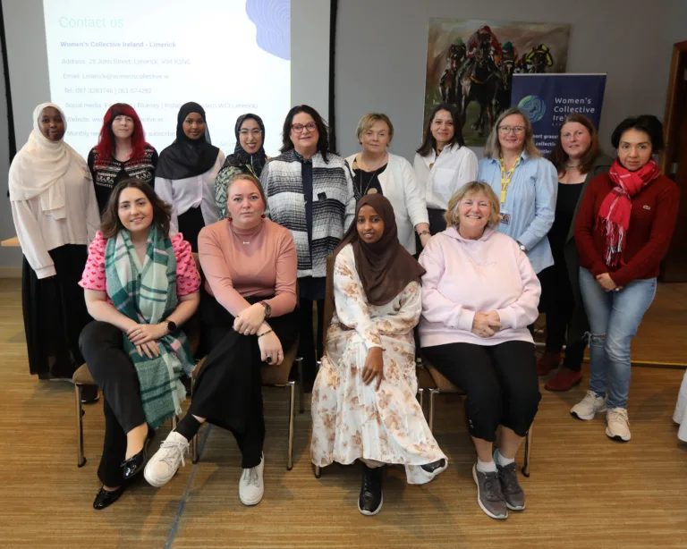 ‘Making Sense of Political Nonsense’ comes to Limerick