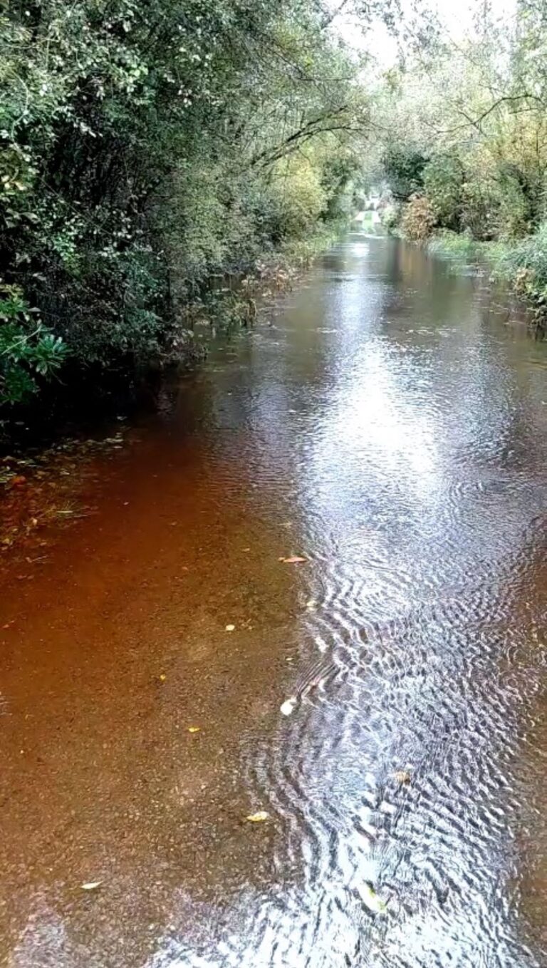 Flooding and power outages in County Limerick as Storm Amy touches down