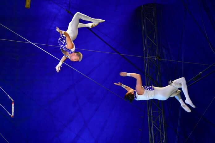 GERBOLA TRAPEZE