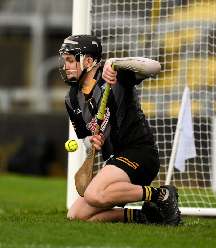 Garryspilane v Effin - Limerick Premier Intermediate Hurling Final
