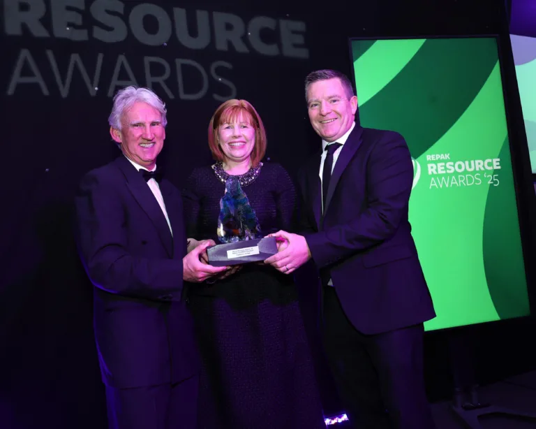 Castletroy College crowned WEE Award champions