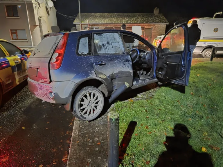 Almost €60,000 worth of drugs seized after Garda chase in Rathkeale