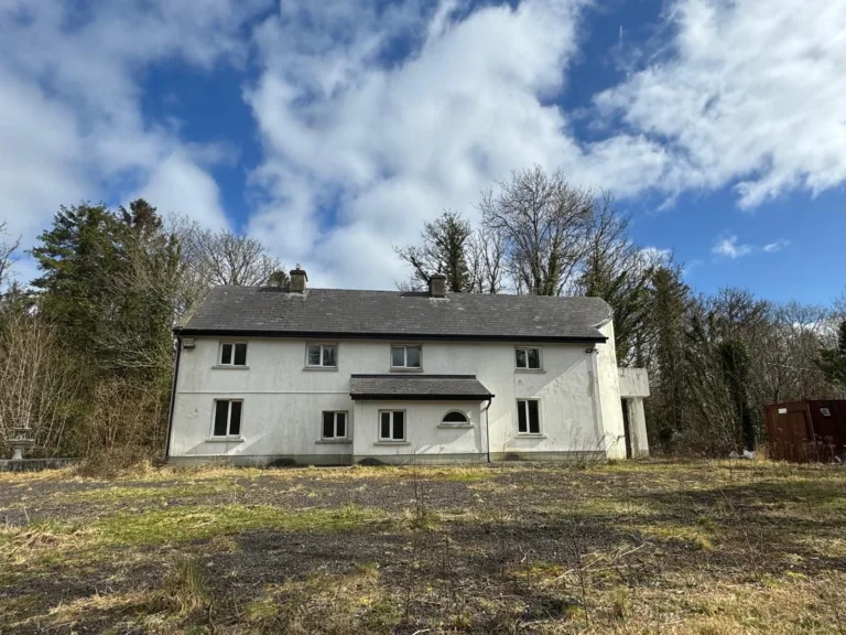 Limerick Scout County awarded almost €150,000 in funding