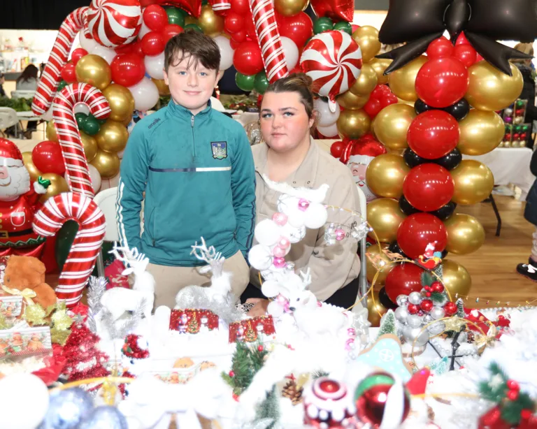 LIMERICK IN PHOTOS: Rockhill Bruree Christmas Fair