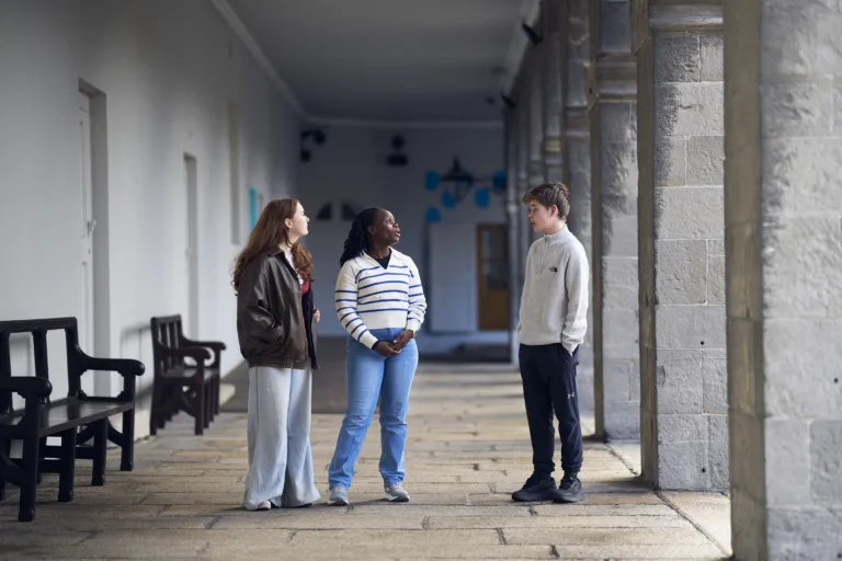 Young Limerick people driven on climate change