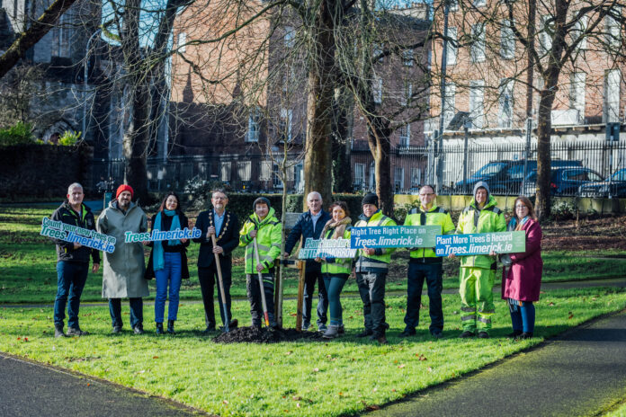 Tree planting Trees Limerick Web Launch 002