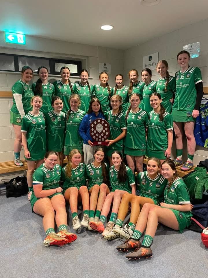 Glory for Limerick Camogie