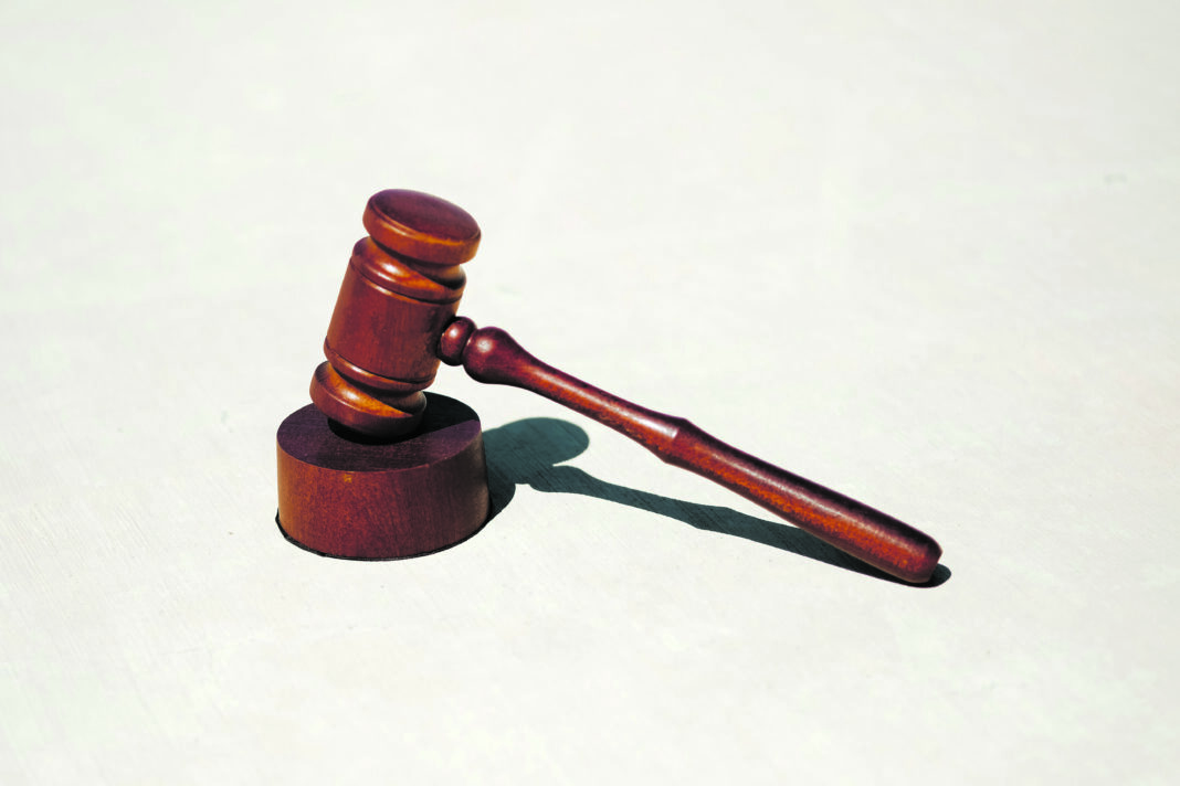 Sentencing of son and daughter of prominent publican adjourned to May