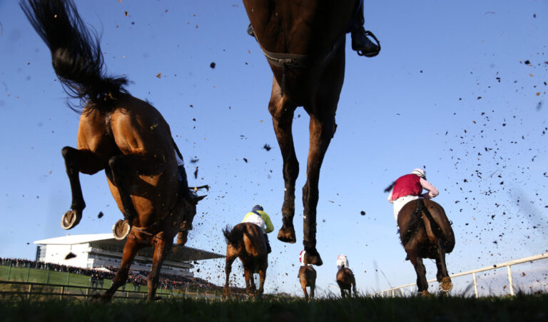 Irish Cheltenham Experience Brings Live Festival Racing and Immersive Hospitality to Munster region