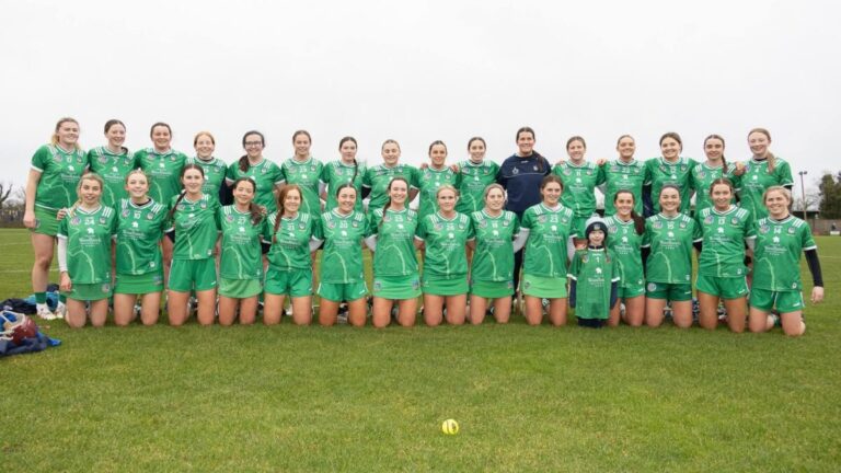 Limerick’s double-bill at Páirc Uí Chaoimh