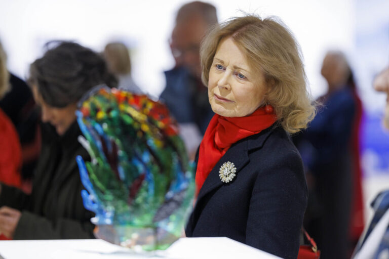 LIMERICK IN PHOTOS: Home Ground exhibition at UL