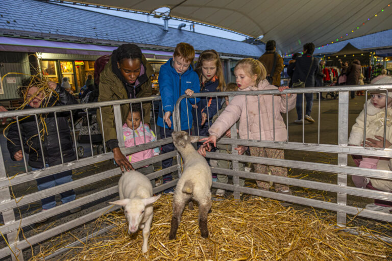 LIMERICK IN PHOTOS: Twilight Thursday in Limerick City