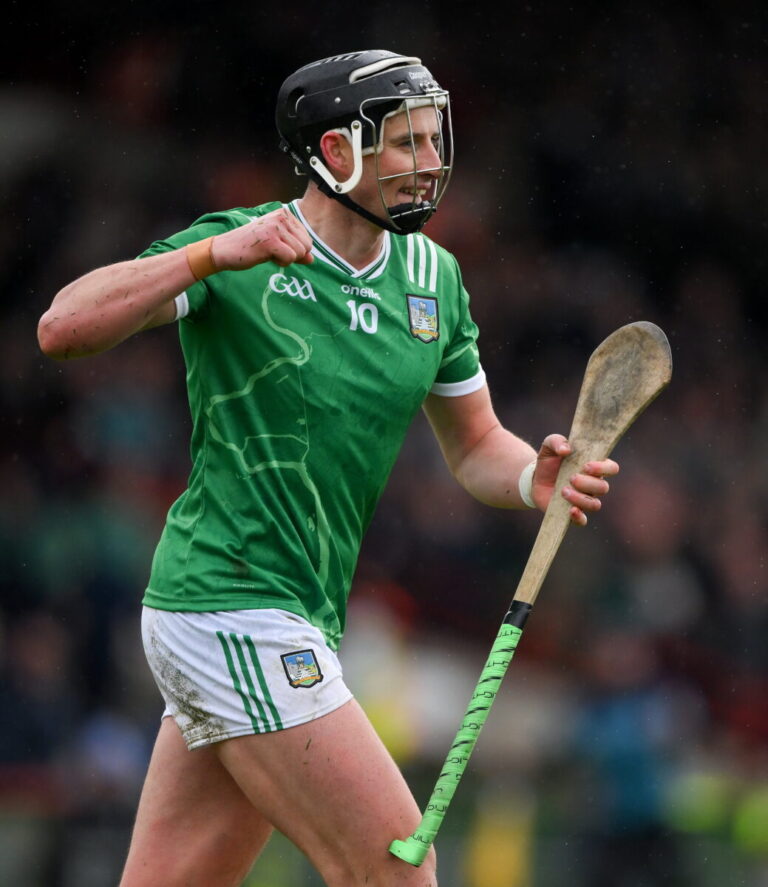 Longer summer of hurling for Limerick